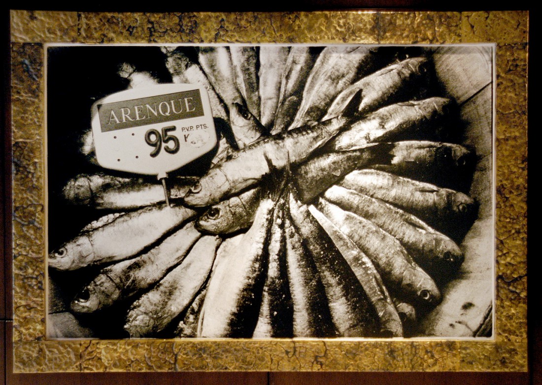 Ring of Fish - Click here to view and order this product